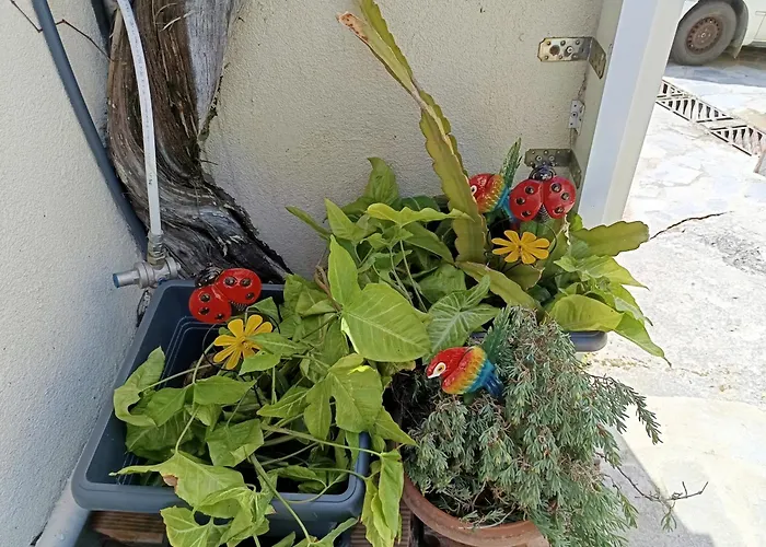 Σπίτι διακοπών Aliki's House *